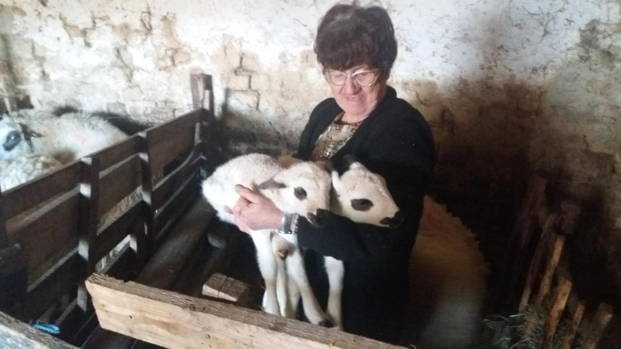 Bed and Breakfast Etno Selo Lelic Valjevo Zewnętrze zdjęcie