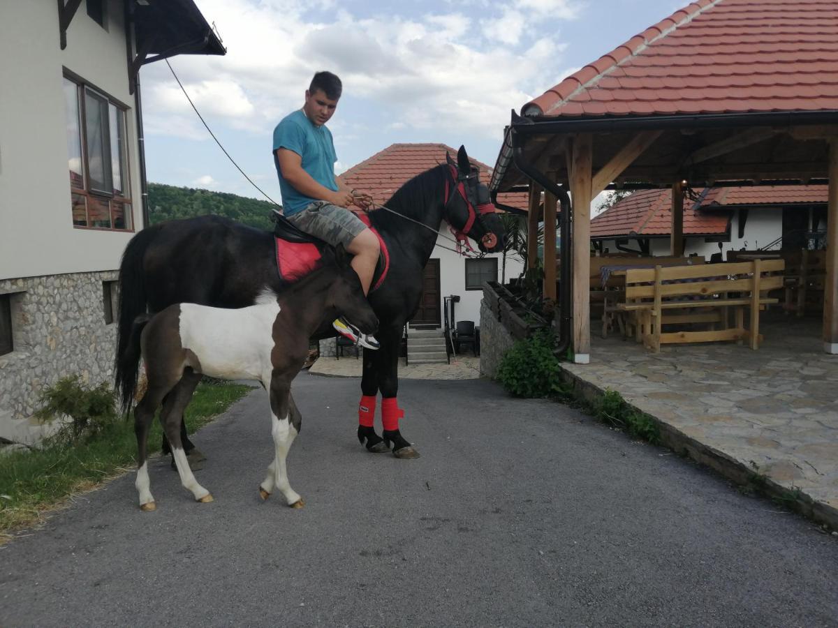 Bed and Breakfast Etno Selo Lelic Valjevo Zewnętrze zdjęcie